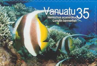 Longfin Bannerfish (Heniochus acuminatus)