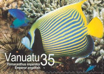 Emperor Angelfish (Pomacanthus imperator)