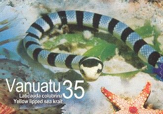 Yellow-lipped Sea Krait (Laticauda colubrina)