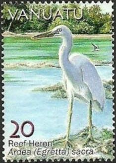 Pacific Reef Heron (Egretta sacra)
