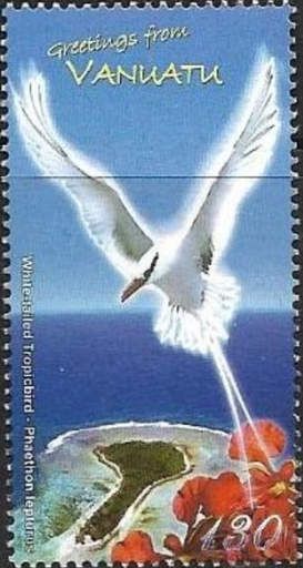 White-tailed Tropicbird (Phaethon lepturus)