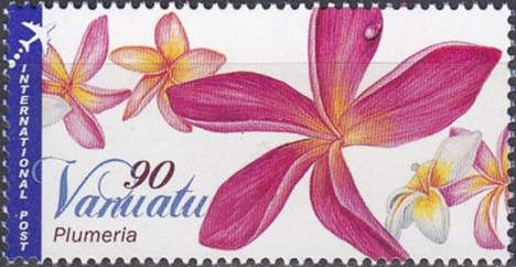 Red Jasmine (Plumeria rubra)
