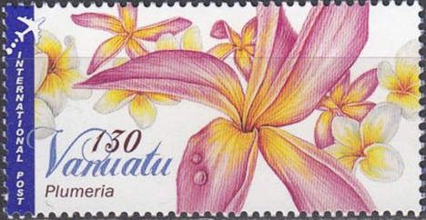 Red Jasmine (Plumeria rubra)