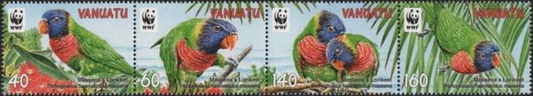 Massena's Lorikeet (Trichoglossus haematodus massena)
