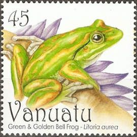 Golden Bell Frog (Litoria aurea)