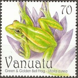 Golden Bell Frog (Litoria aurea)