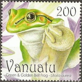 Golden Bell Frog (Litoria aurea)