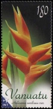 Wild Plantain (Heliconia caribaea)