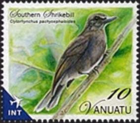 Southern Shrikebill (Clytorhynchus pachycephaloides)