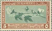 International Cotton Congress - Branch of Cotton