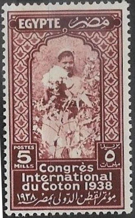 International Cotton Congress - Cotton Picker