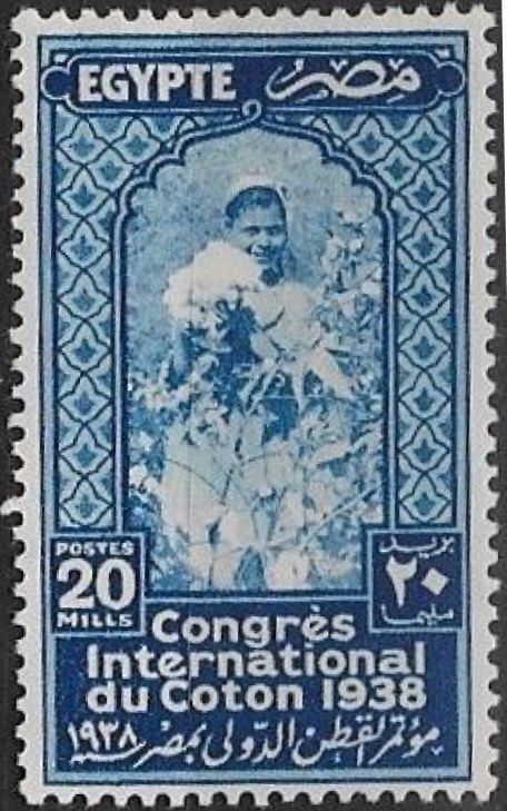 International Cotton Congress - Cotton Picker