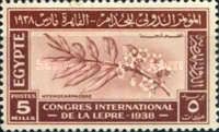 International Leprosy Congress - Branch of Hydnocarpus