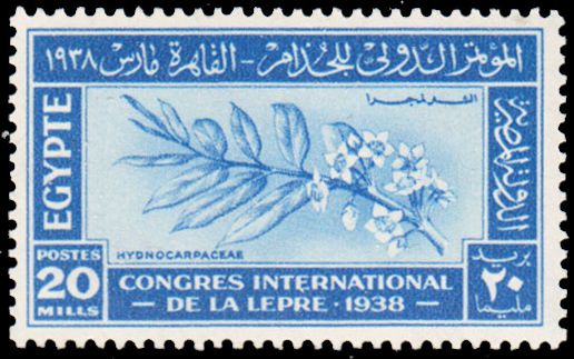 International Leprosy Congress - Branch of Hydnocarpus