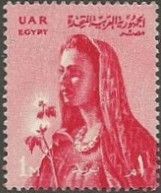 Farmer’s Wife