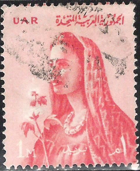 Farmer’s Wife
