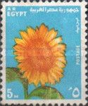 Sunflower (Helianthus sp.)