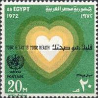 WHO - Your Heart is Your Health