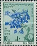 Plumbago auriculata