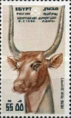 Post Day - Cow’s head (Goddess Hawthor)