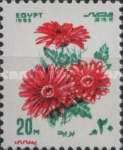 Chrysanthemums