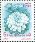 Dahlia