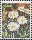 Wild Daisies - 1990 Festival