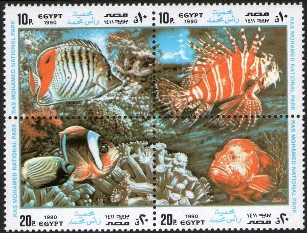 Coral Reef with Fish and Invertebrates