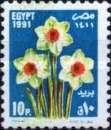Narcissus - 1991 Festival