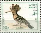 Eurasian Hoopoe (Upupa epops)