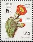 Opuntia