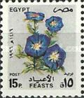 Blue flowers (Convolvulus)