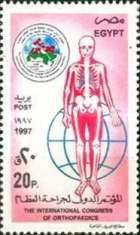 Intl. Congress of Orthopedics, Cairo