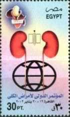 International Nephrology Congress