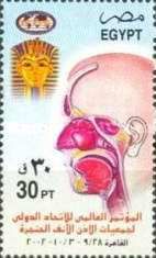 17th Congress of Ear-Nose-Throat (ENT) Societies