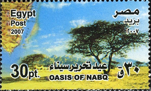 Oasis of Nabq