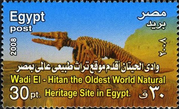 Erected Whale Skeleton