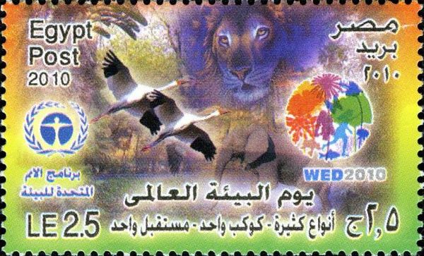 International Environment Day