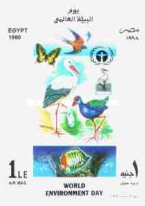 Butterflies, birds, fish
