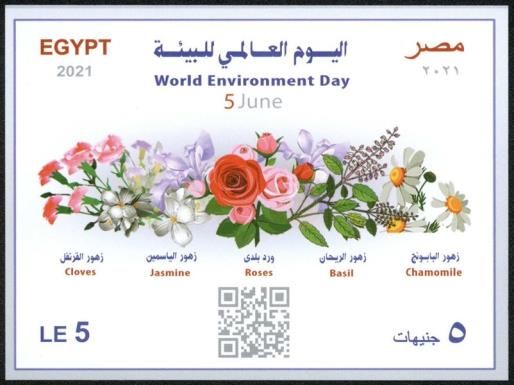 World Environment Day 2021