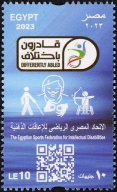 Sports Federation for the Intellectual Disablilites