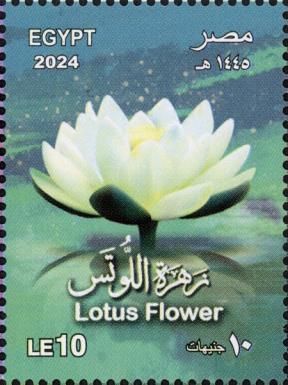 Lotus