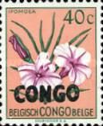 Ipomoea filicaulis overprinted CONGO