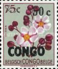 Ochna biligiana surcharged, overprinted CONGO