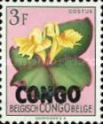 Costus spectabilis overprinted CONGO