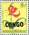 Gloriosa simplex overprinted CONGO