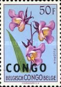 Eulophia cucullata overprinted CONGO