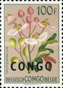 Cryptosepalum katangense overprinted CONGO