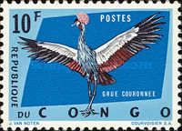 Gray Crowned Crane (Balearica regulorum)