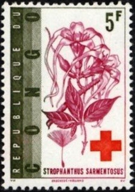 Strophanthus sarmentosus